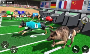 Hướng Dẫn Chơi Game Nhanh Đua Chó Tại 789Bet Thắng Lớn Dễ Dàng Nhanh Chóng