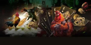 Cách Chơi Đá Gà 3D 789Bet: Bí Quyết Thắng Lớn Đỉnh Cao Cá Cược