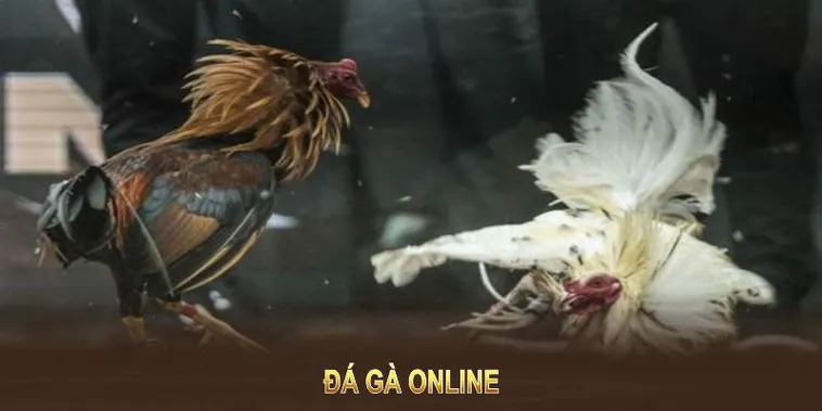 Khám Phá Cách Chơi Đá Gà WS168 Tại 789Bet Hấp Dẫn Kịch Tính