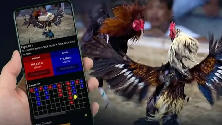 Đá Gà 789Bet: Đấu Trường Kịch Tính Hấp Dẫn Hàng Triệu Người Chơi